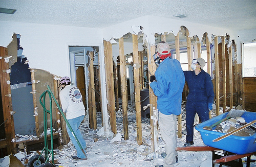 mold removal