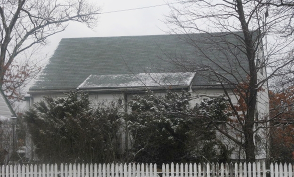 vegetation around home